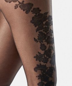 Aubade - Hosiery Collection 2017